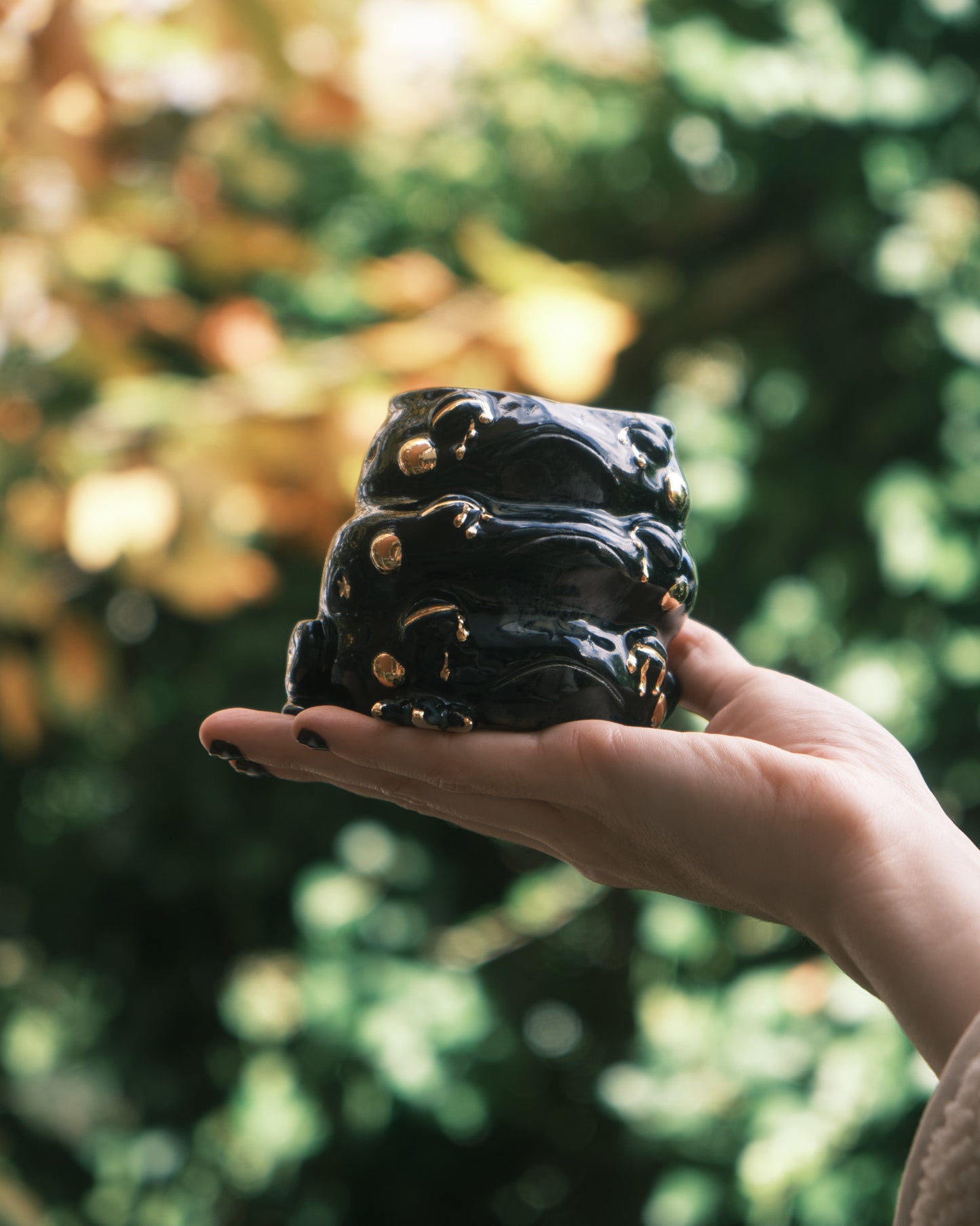 Dark Triplet Star Croaker