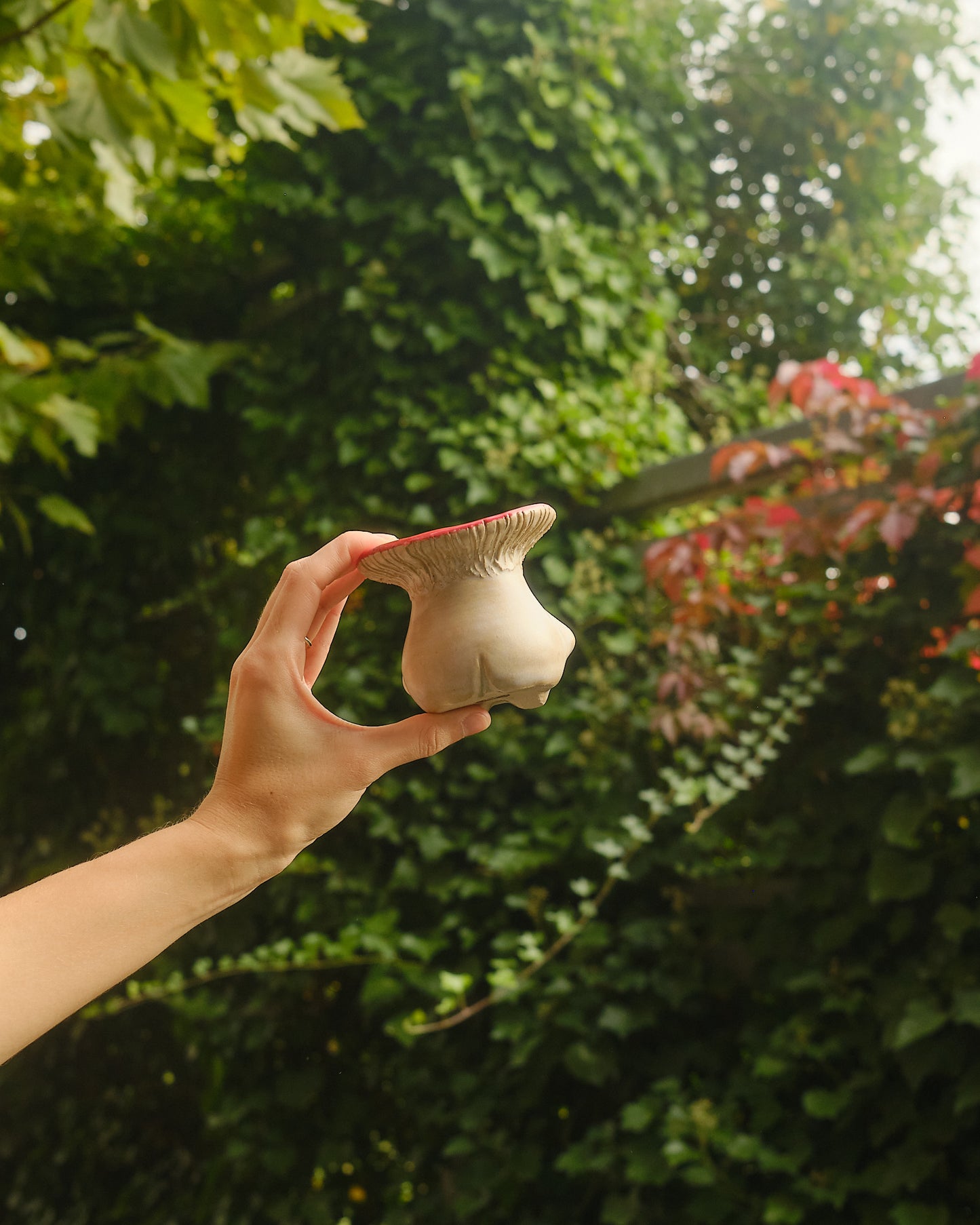 Spindle the Sporeling