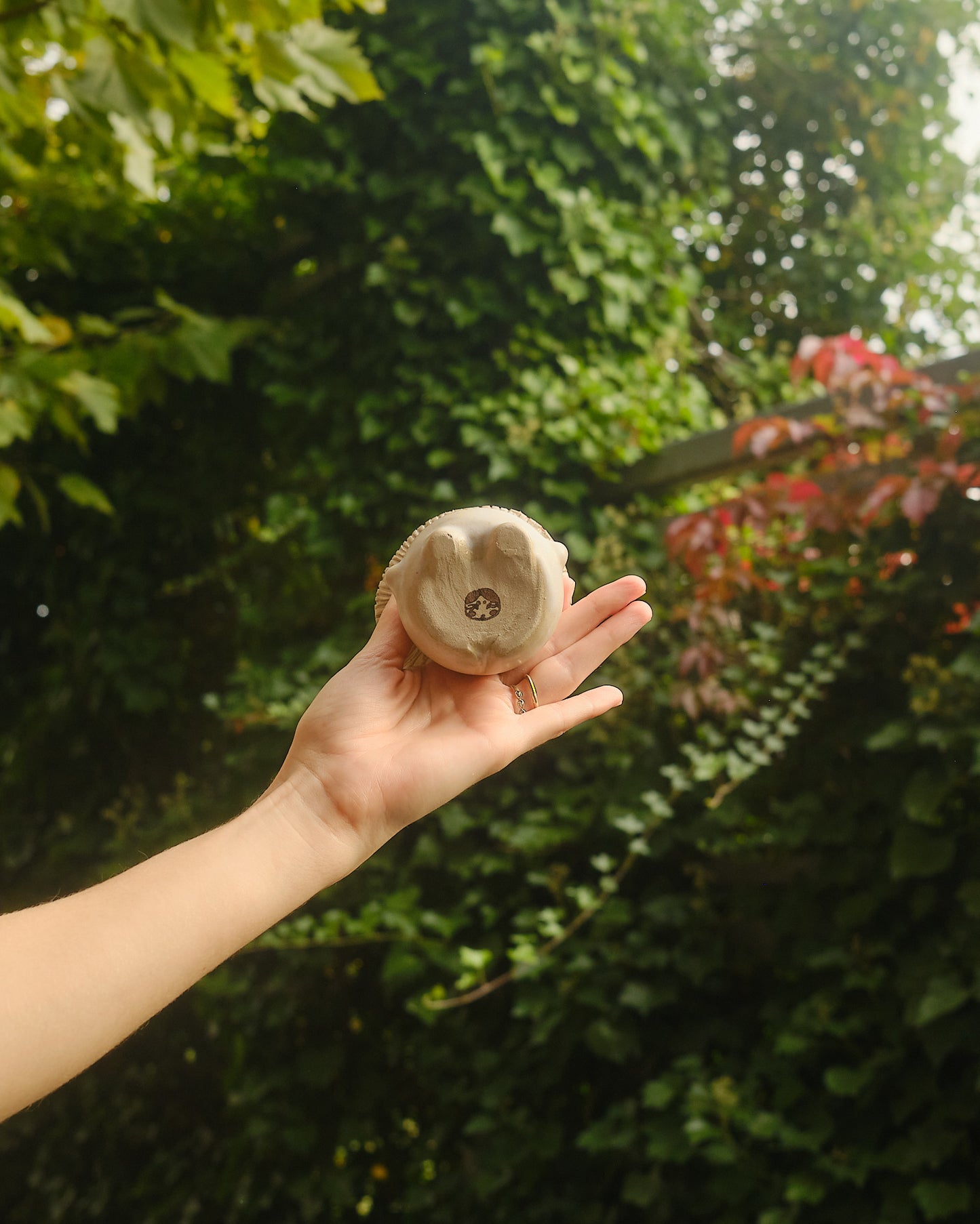 Spindle the Sporeling