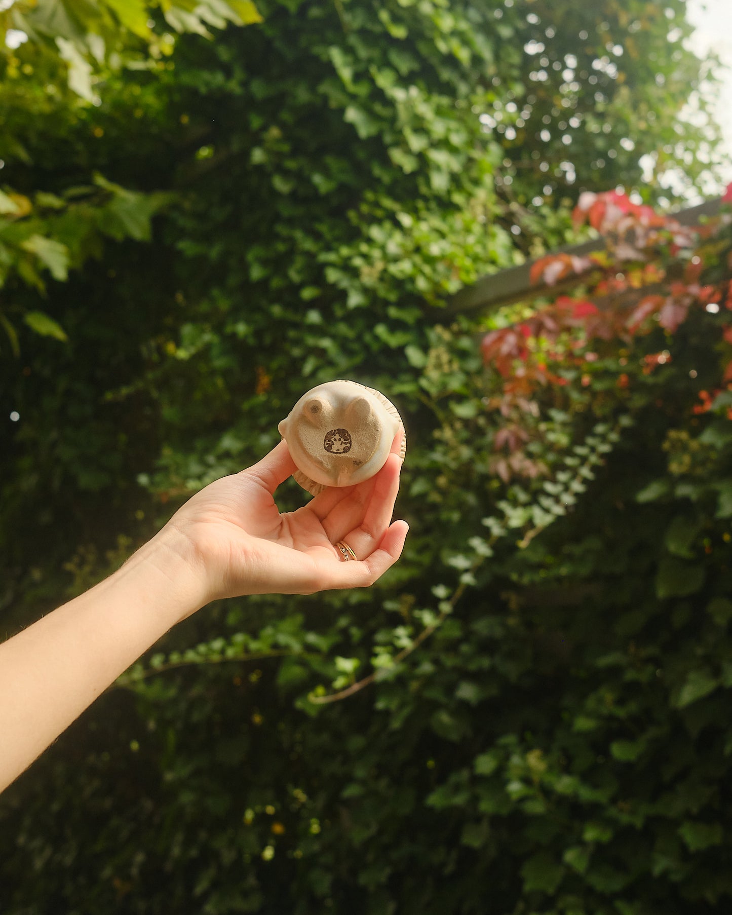 Button the Sporeling