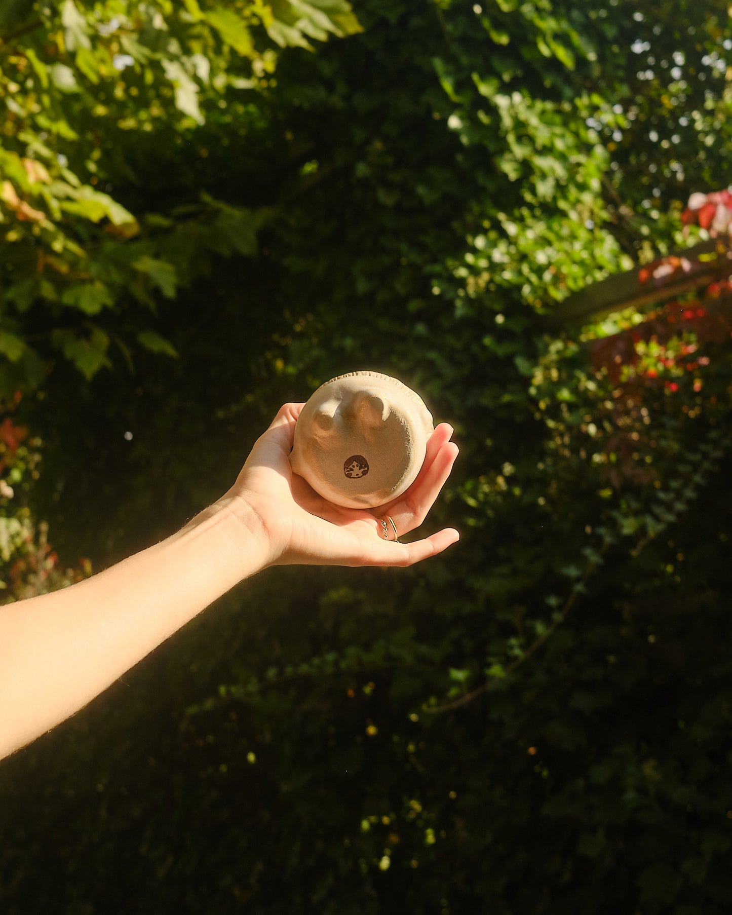 Acorn the Sporeling