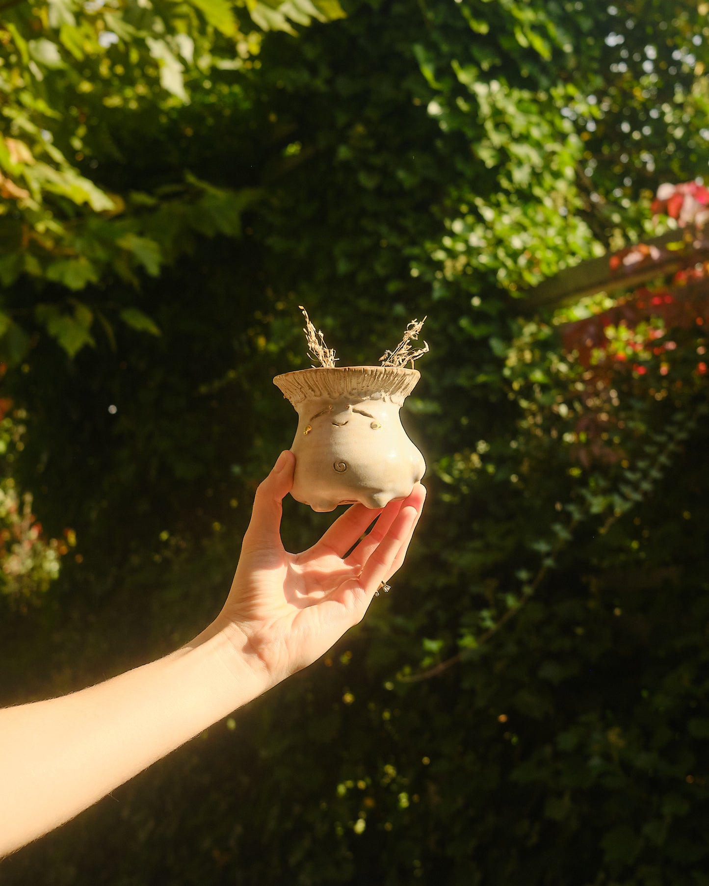 Acorn the Sporeling