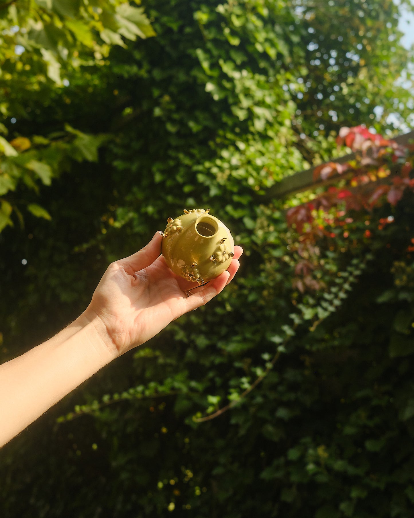 Blooming Flower Puff IV