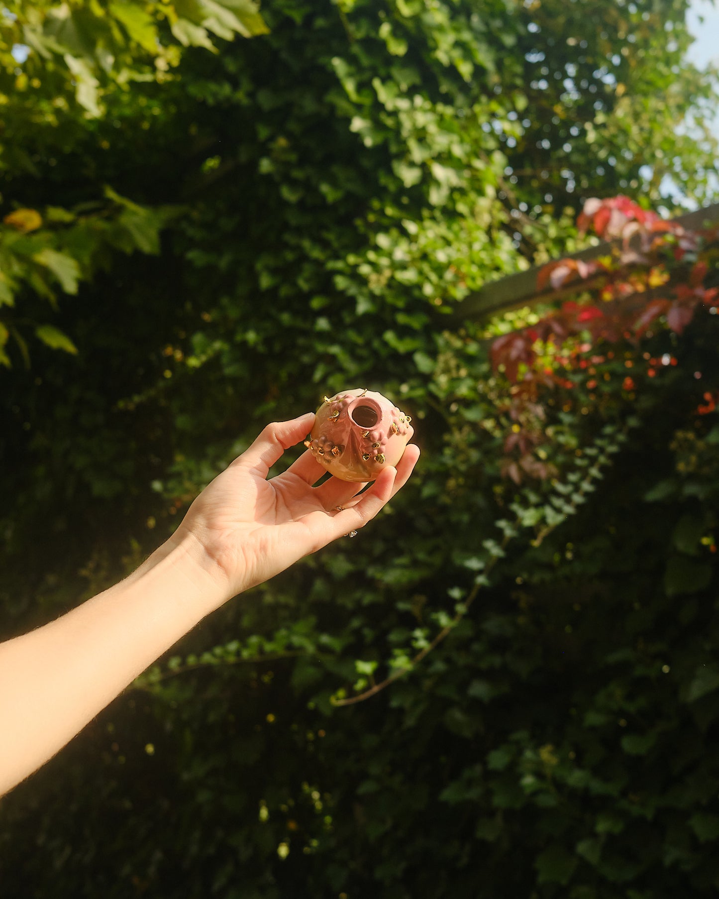 Blooming Flower Puff I