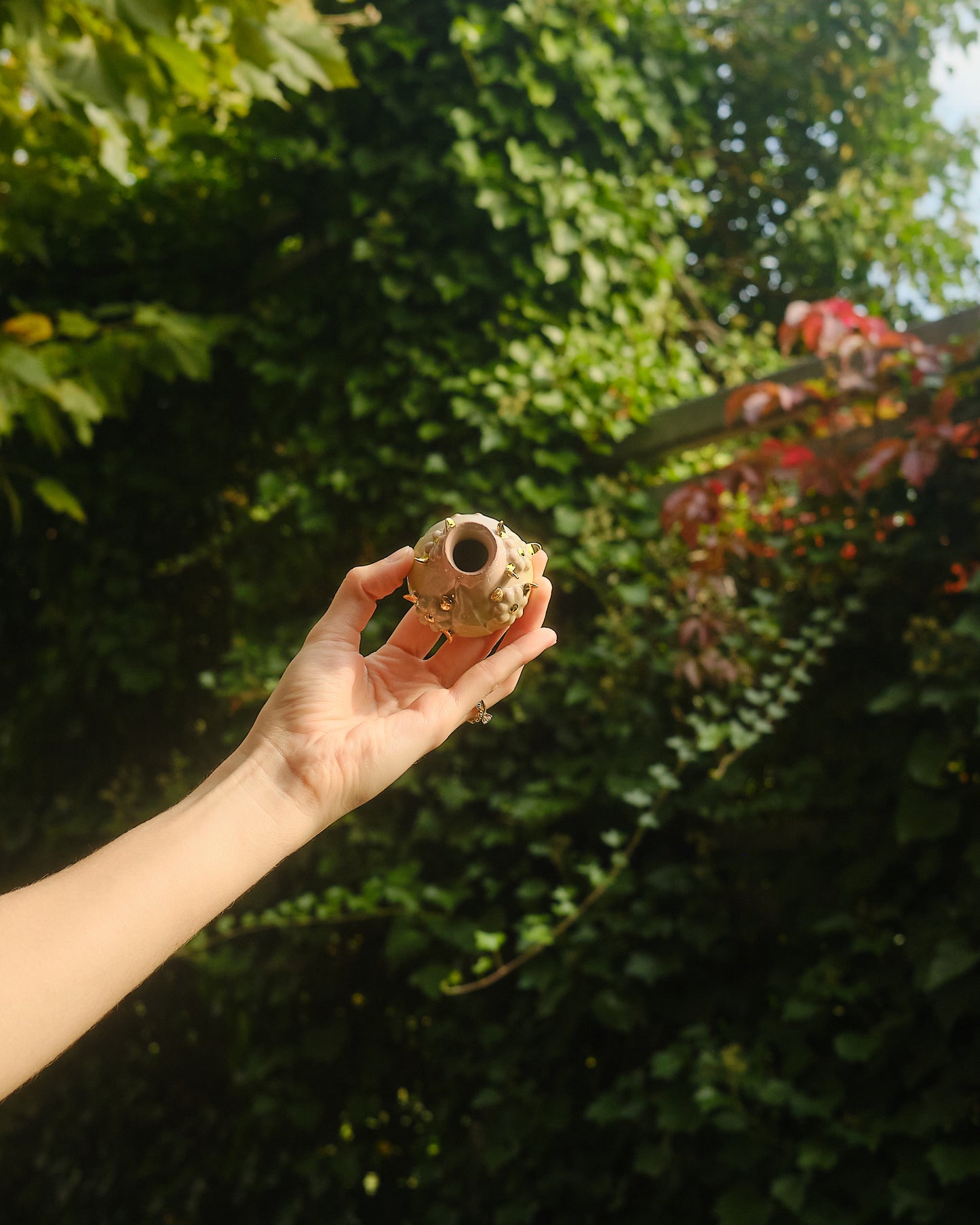 Blooming Flower Puff II
