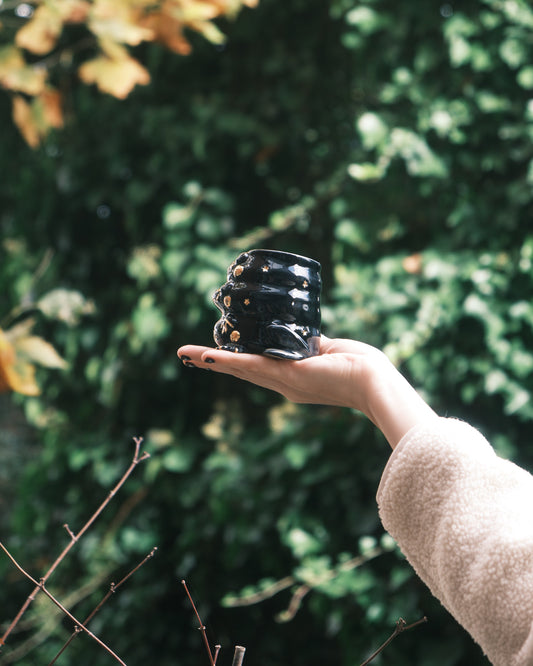 Dark Triplet Star Croaker