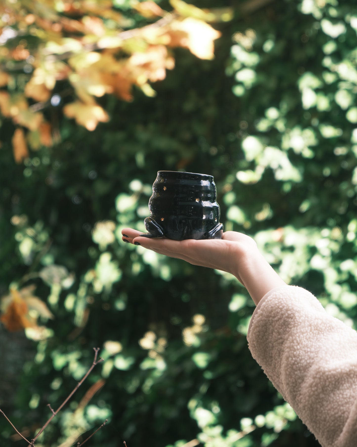 Dark Triplet Star Croaker