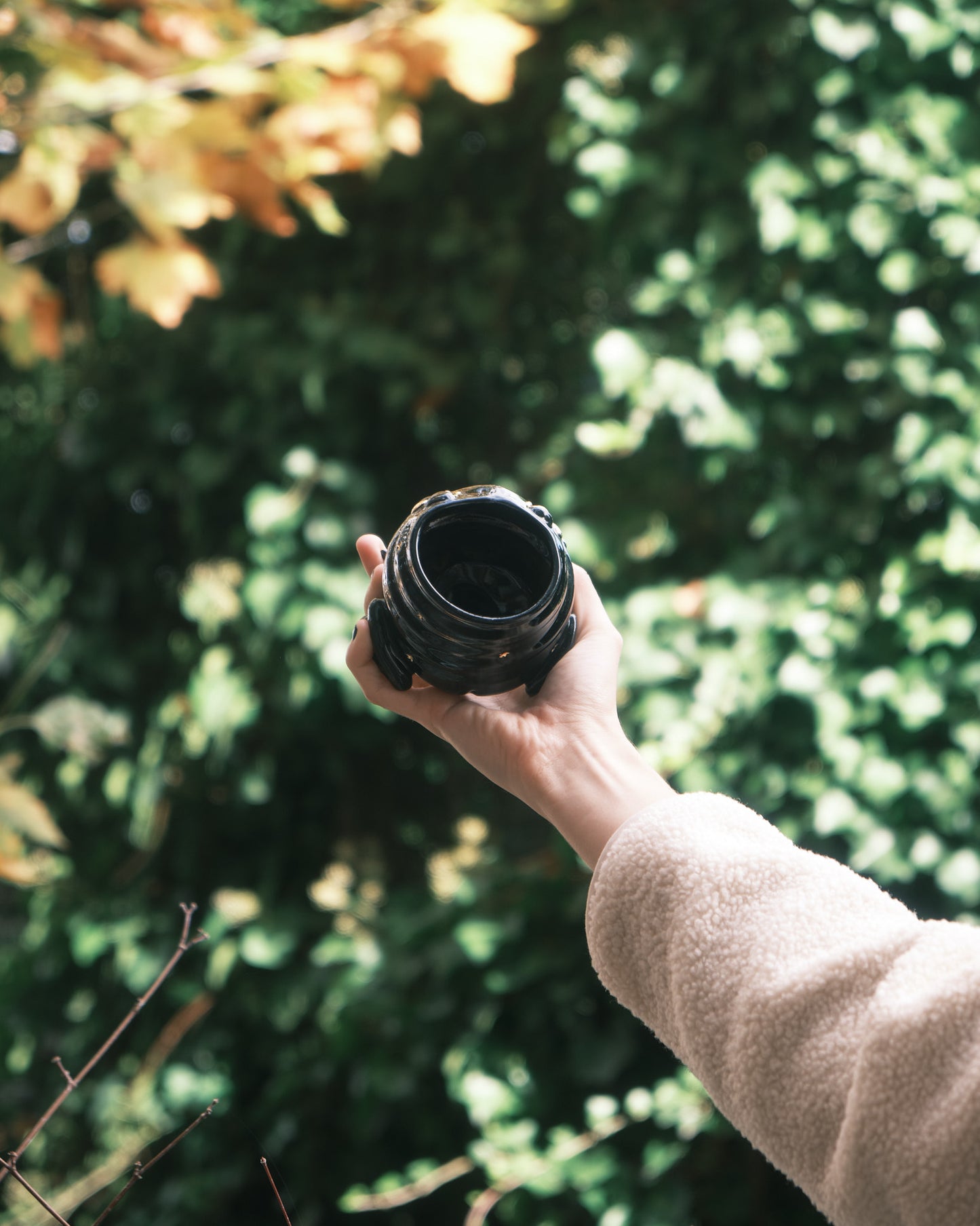 Dark Triplet Star Croaker