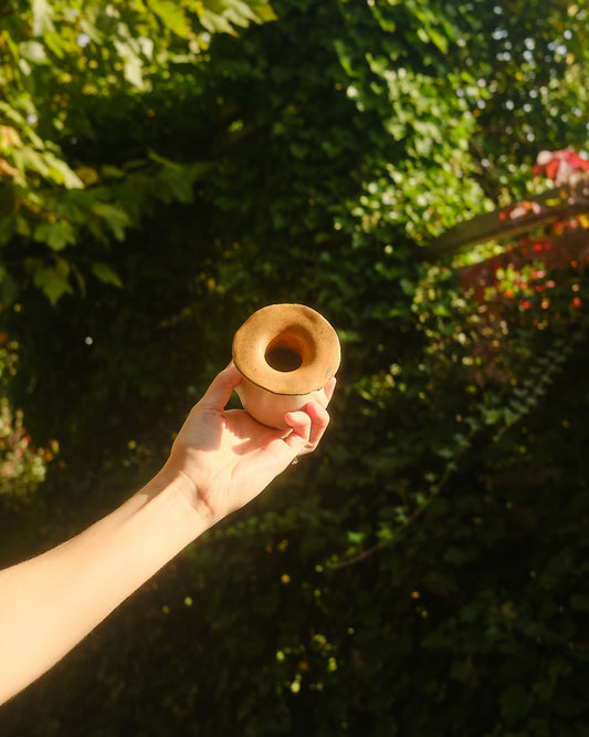 Cider the Sporeling