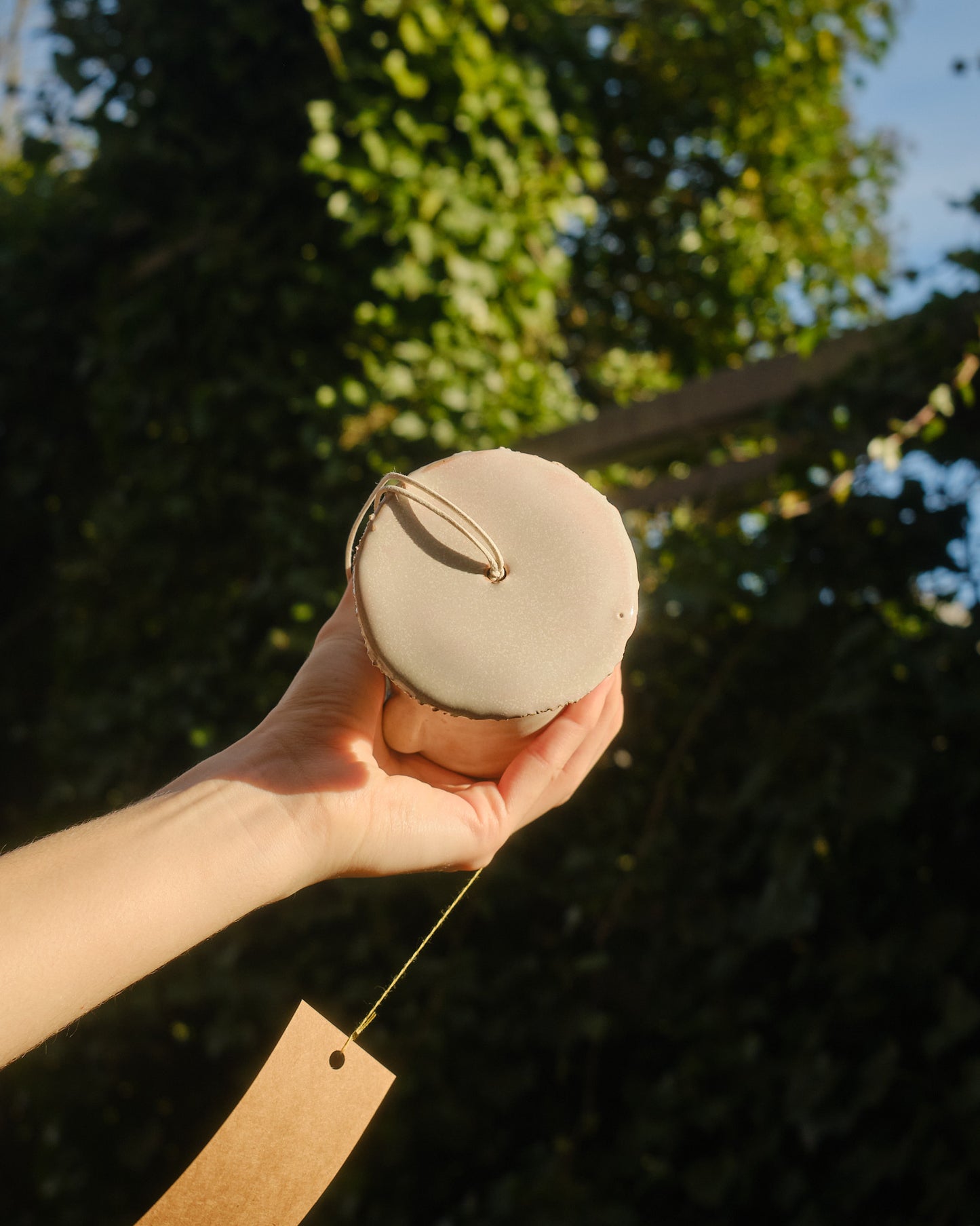 Cherry the Sporeling