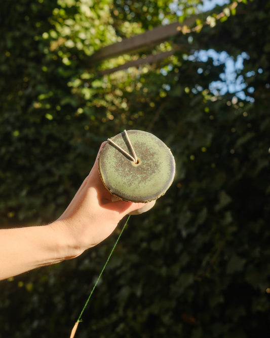 Leaflet the Sporeling