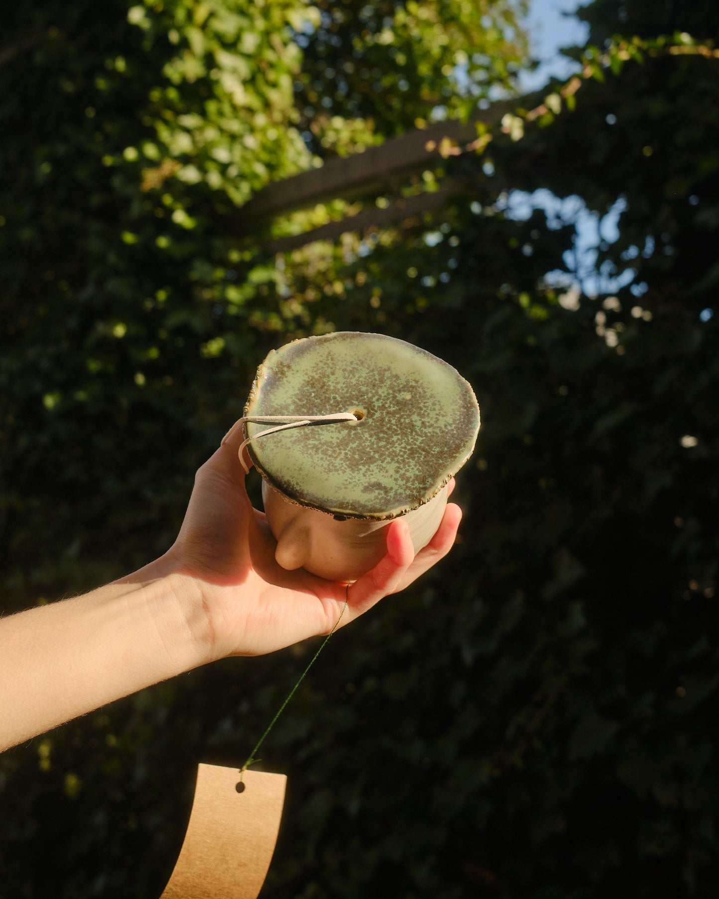 Aventurine the Sporeling