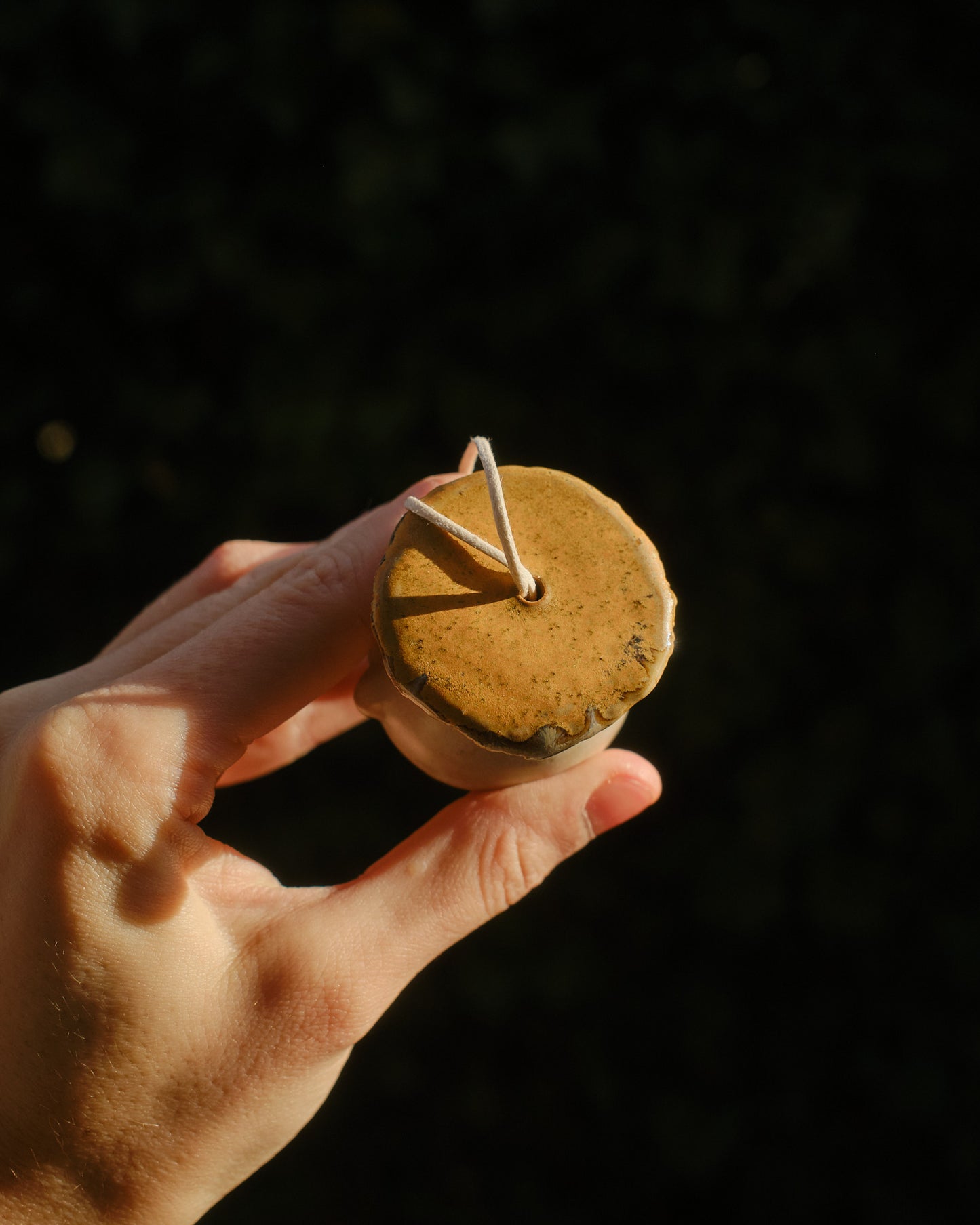 Cookie the Sporeling