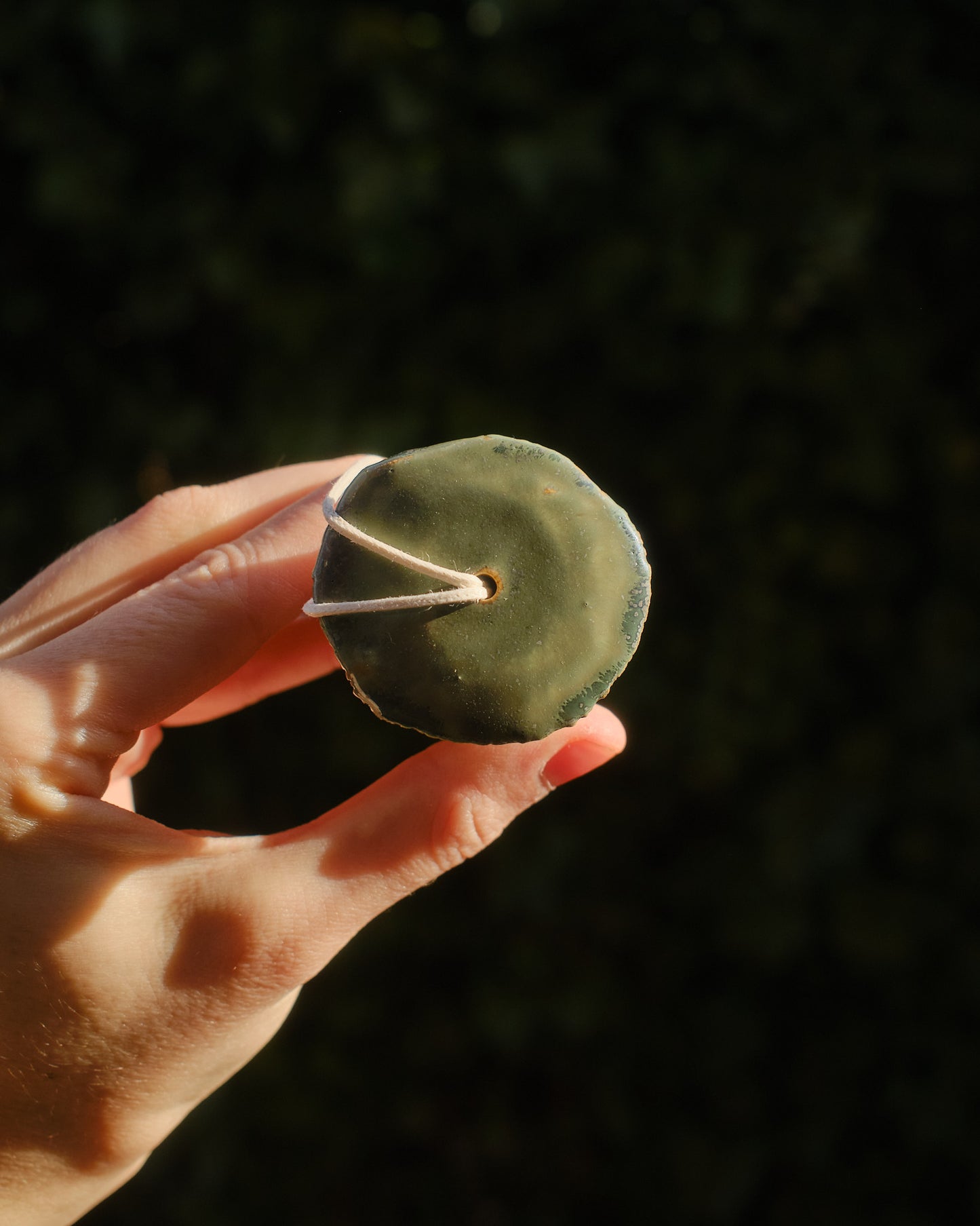 Clover the Sporeling