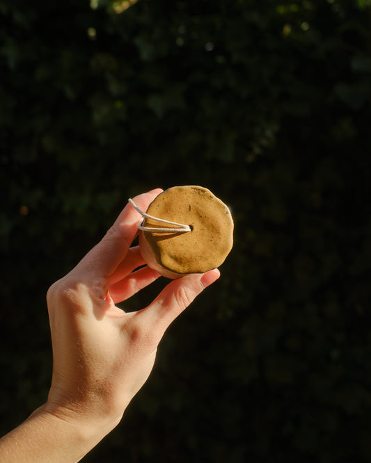 Winnie the Sporeling