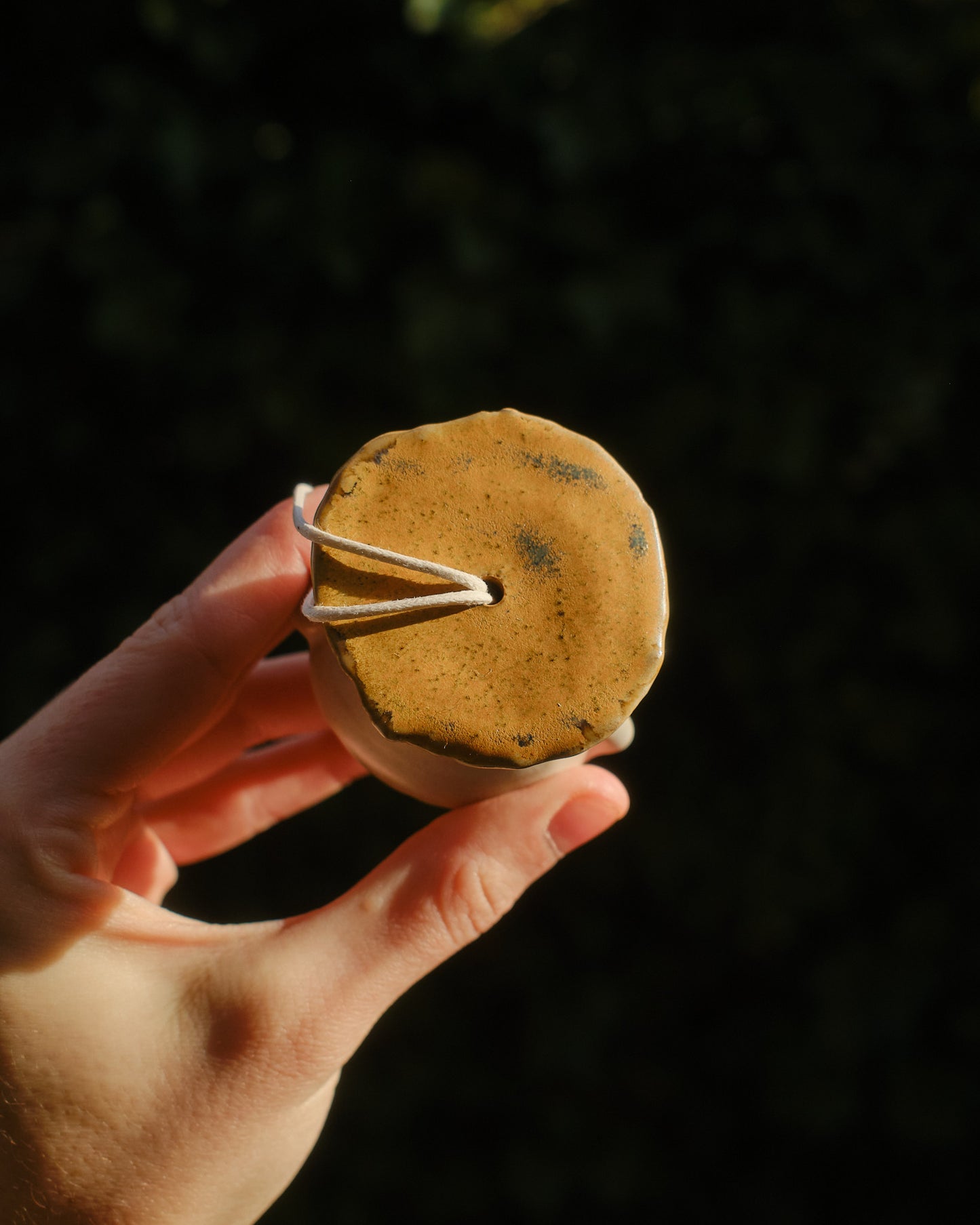 Wobble the Sporeling