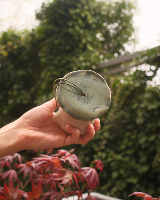 Clover the Sporeling