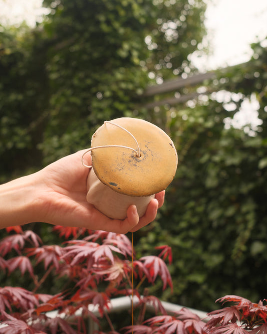 Crumble the Sporeling