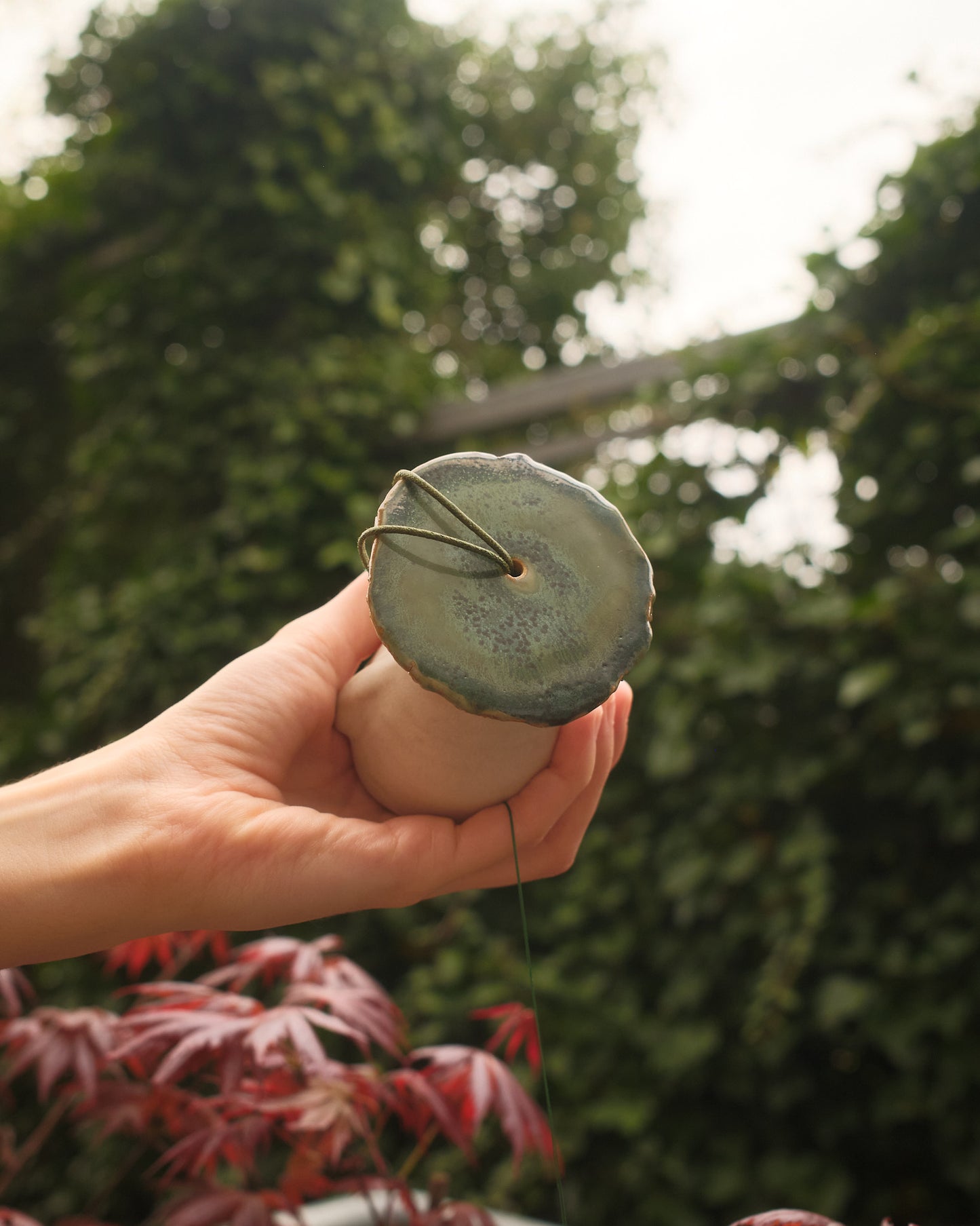 Pistachio the Sporeling